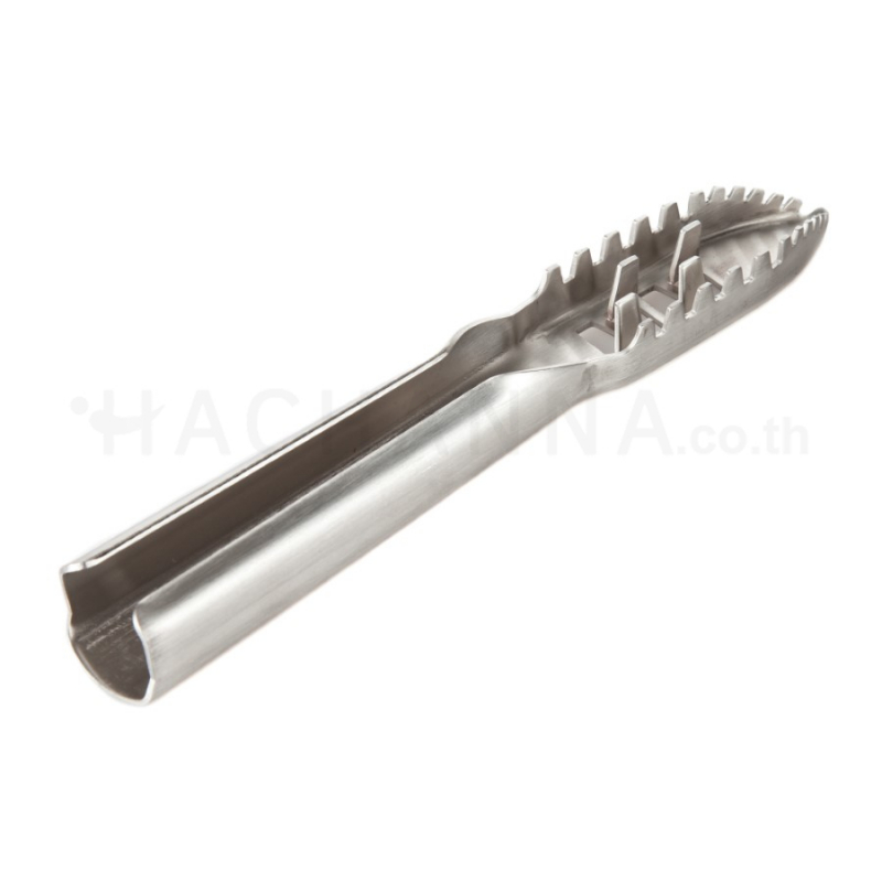 Stainless Steel Fish Scaler