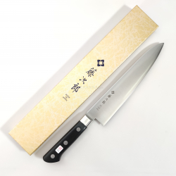 Tojiro DP Gyuto 210 mm (F-808)