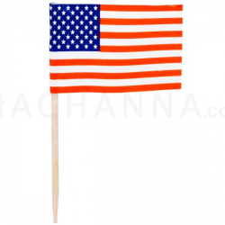 ไม้จิ้มฟันธงสหรัฐอเมริกา (100 ชิ้น)