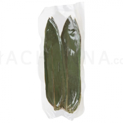 Bamboo Leaf 260-290x75mm (100PC/Pack)