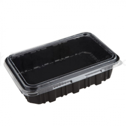 Disposable Food Container (100 Sets)