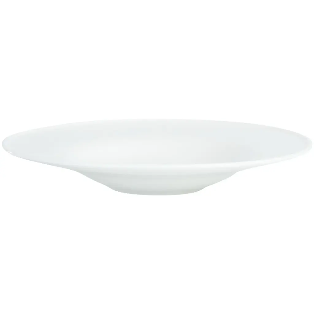 Porcelain Wide Rim Plate 10"