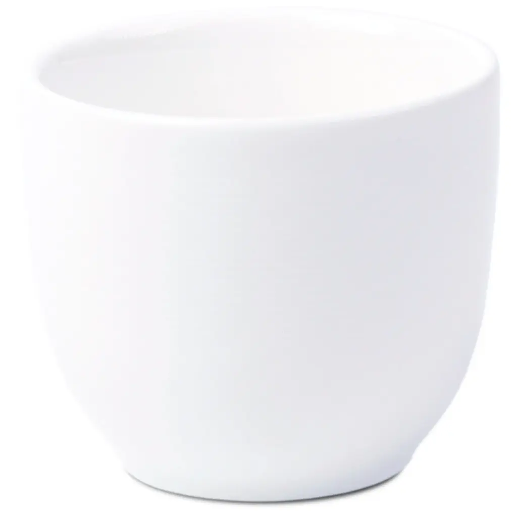 Porcelain Tea Cup