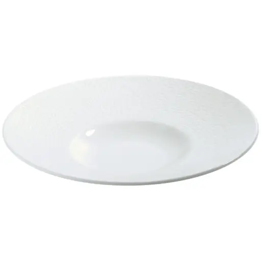 [CRM1041] 磁器 パスタ皿 10" (青磁縁)